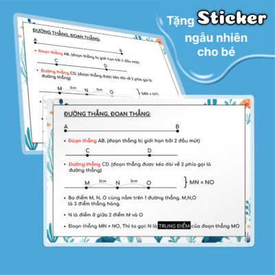 đường thẳng, đoạn thẳng