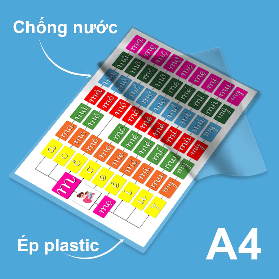 mặt ép M