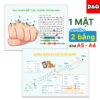 bang-don-vi-do-thoi-gian-meo-nhan-biet-cac-thang-trong-nam
